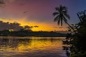 001 Tortuguero